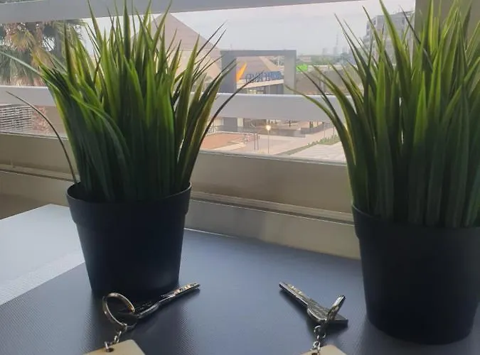 Rio Turia * Walencja