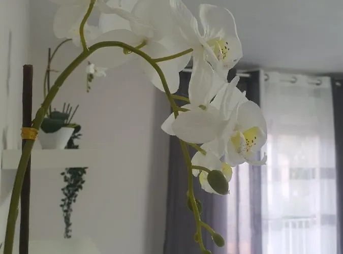 Apartament Rio Turia