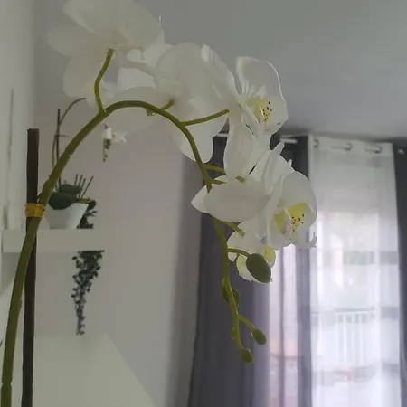 Apartament Rio Turia